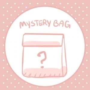 Small Mystery Bag/Box